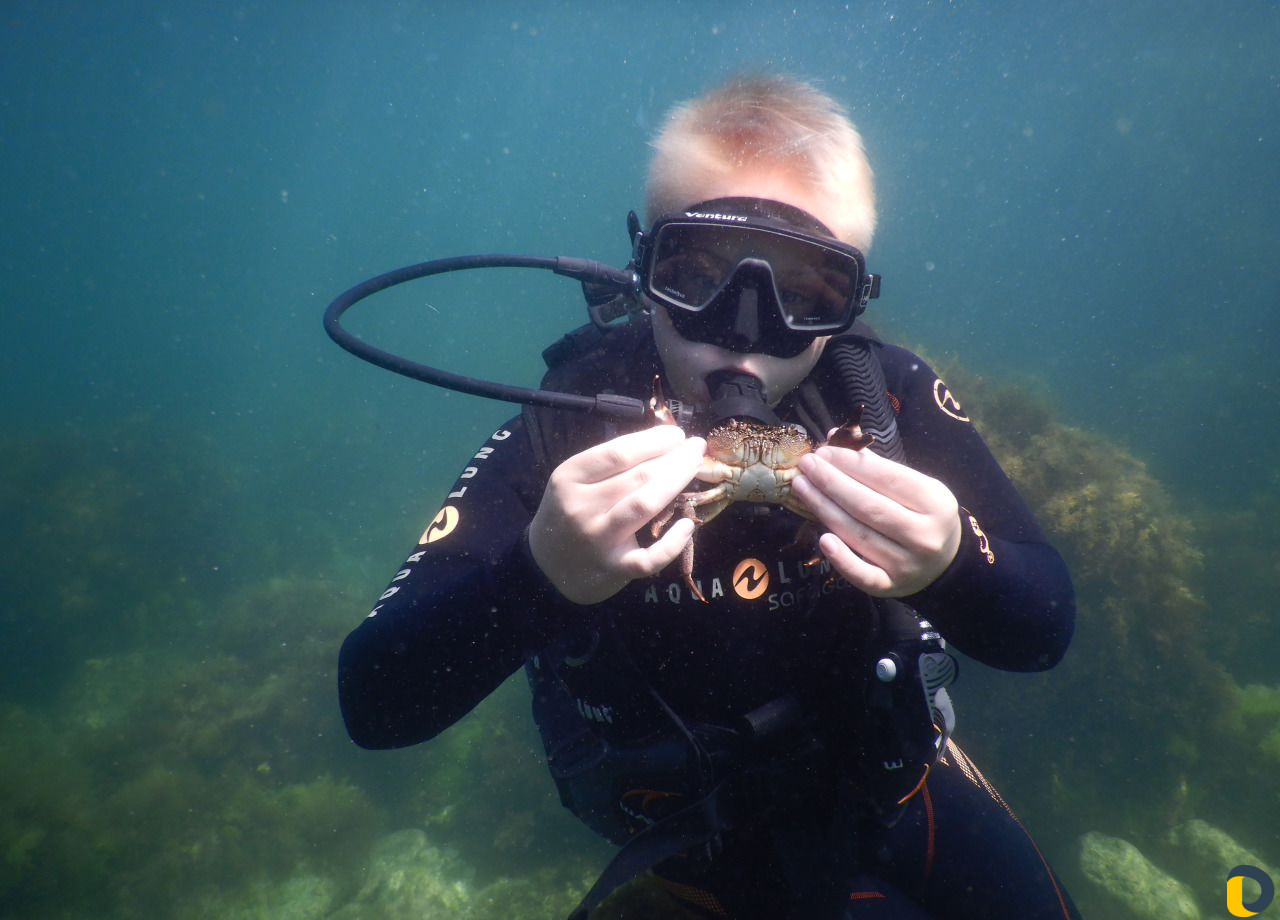 Дайвинг Туризм Отдых Спорт Курорты Курсы Обучение