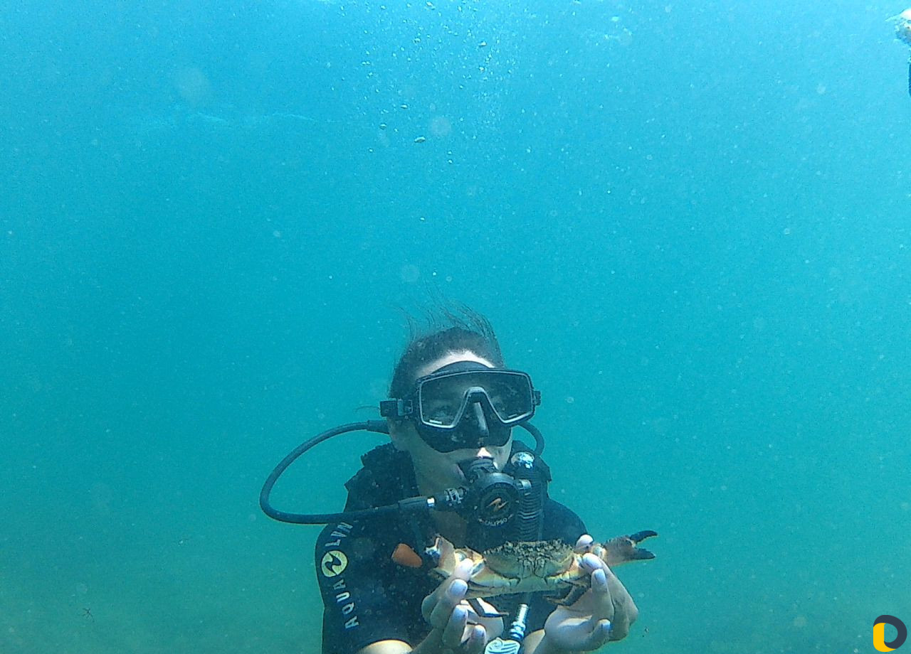 Дайвинг Туризм Отдых Спорт Курорты Курсы Обучение