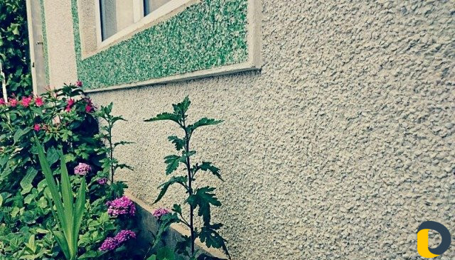 Декоративная штукатурка из мраморной крошки