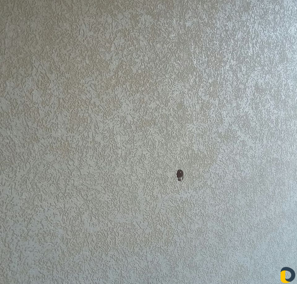 Делаем короед