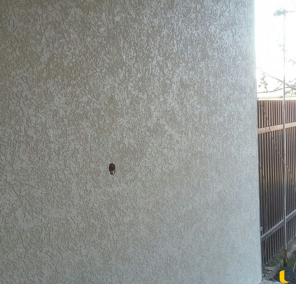 Делаем короед