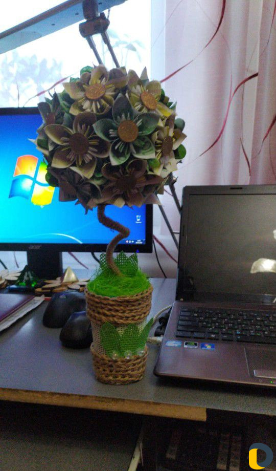 Денежные деревья