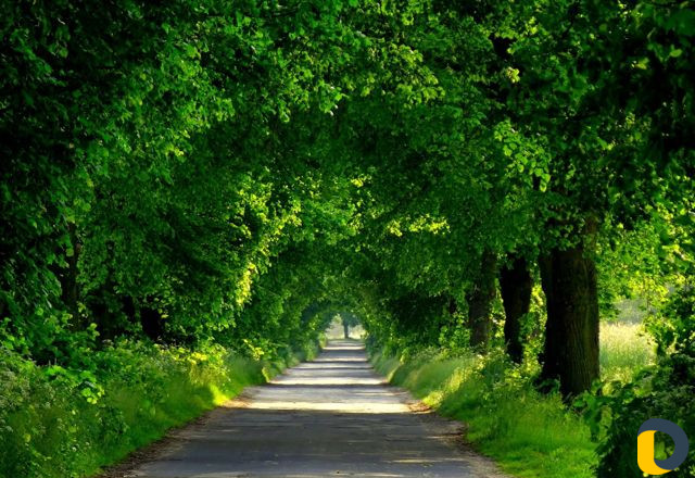 Детский сад