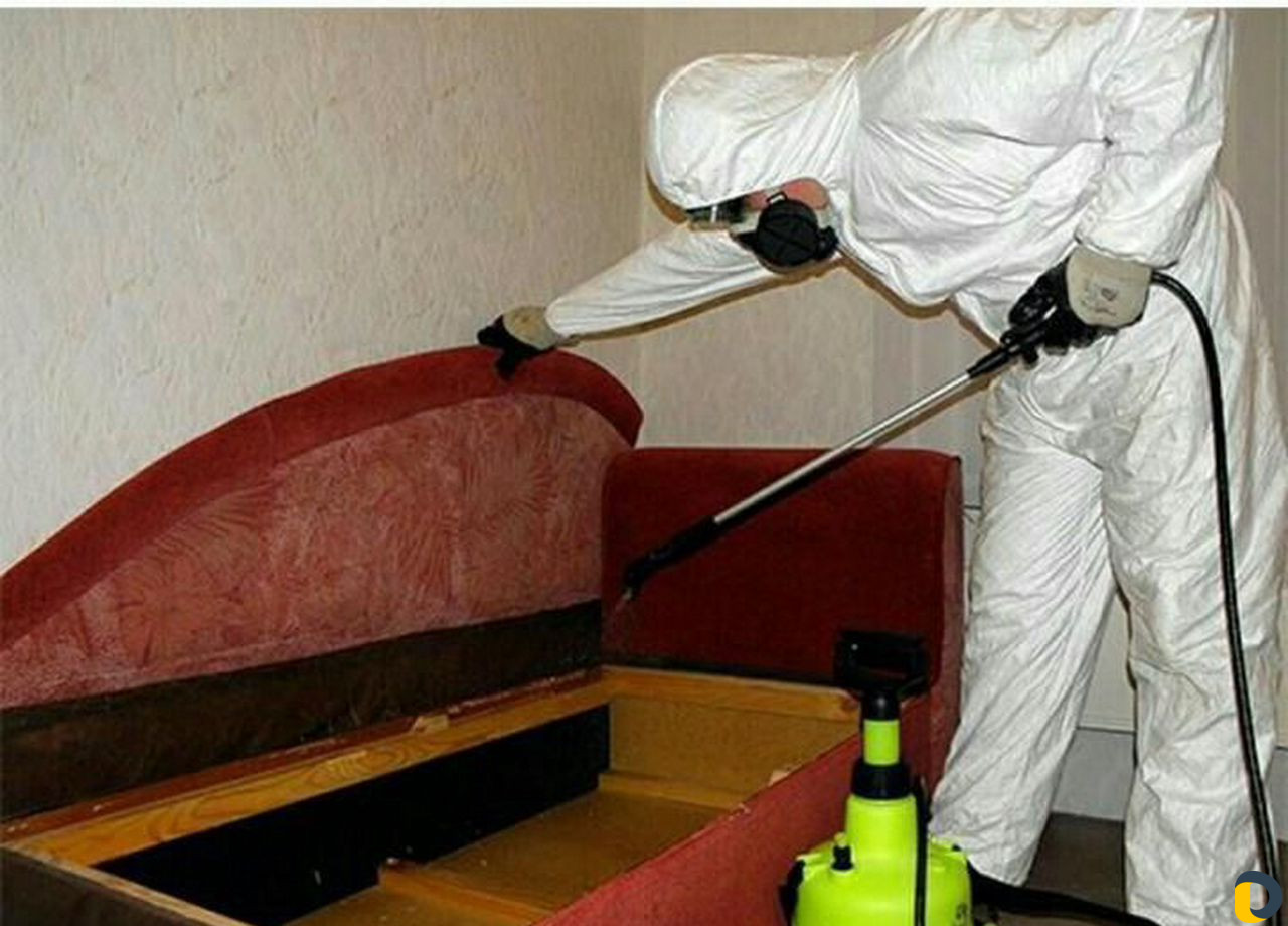 Дезинфекция, дератизация, травля тараканов