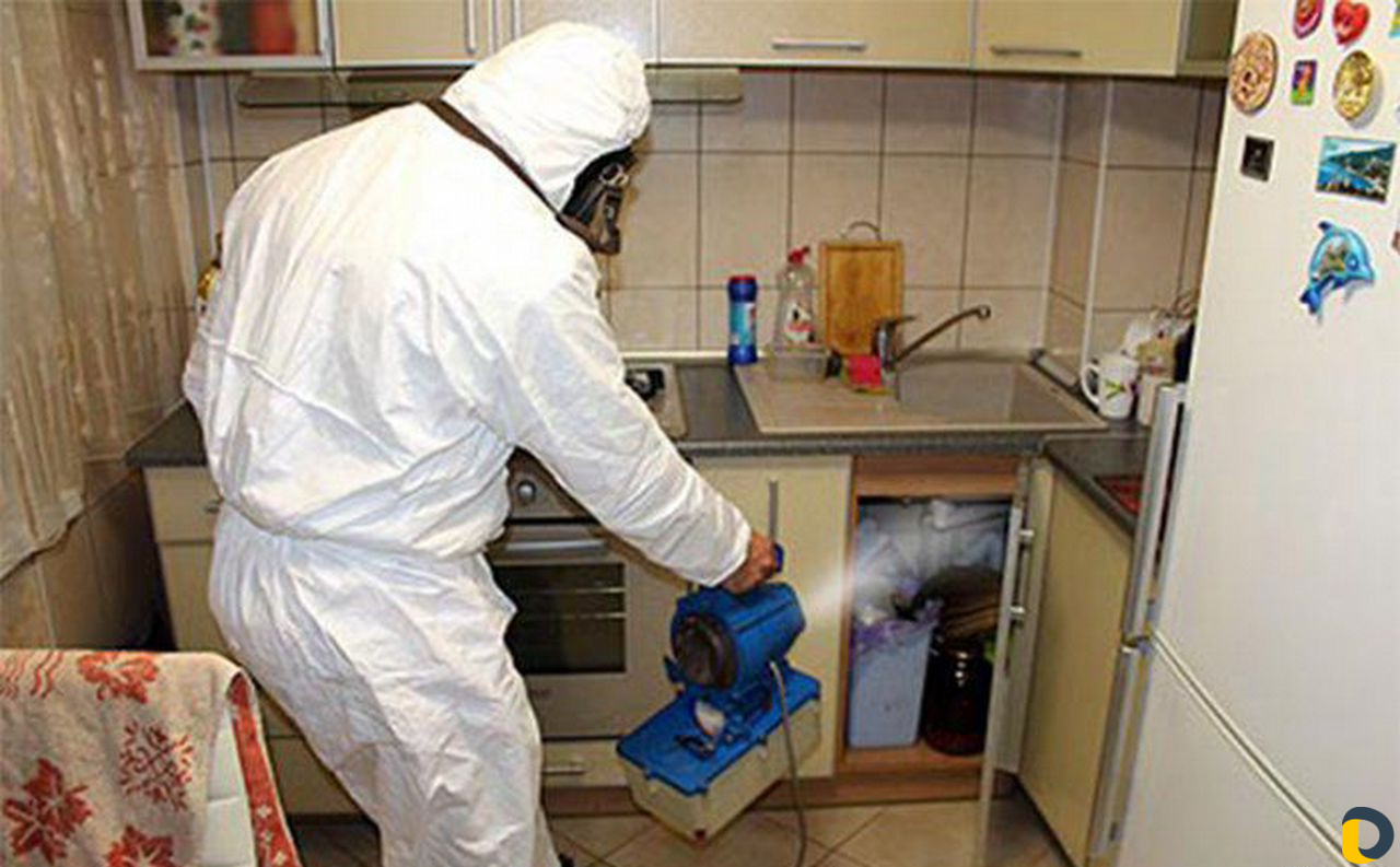 Дезинфекция, дератизация, травля тараканов