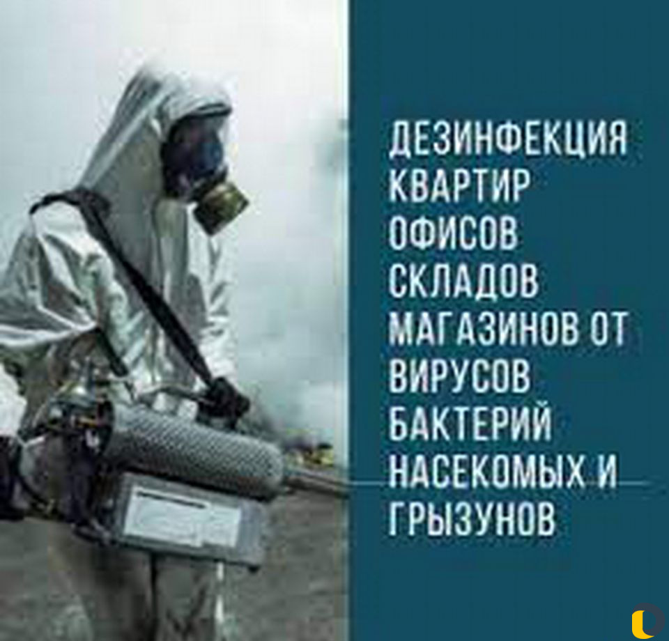 Дезинфекция, дератизация, травля тараканов