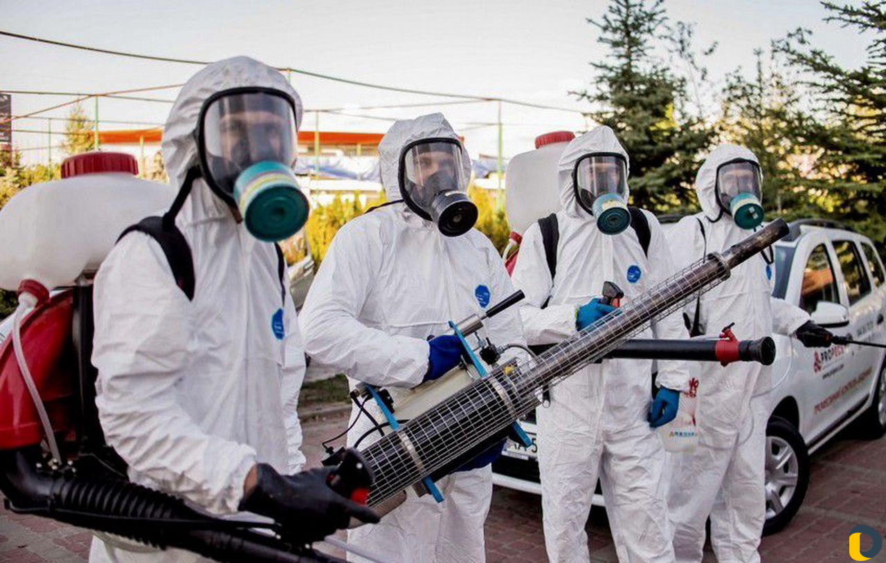 Дезинфекция, дератизация, травля тараканов