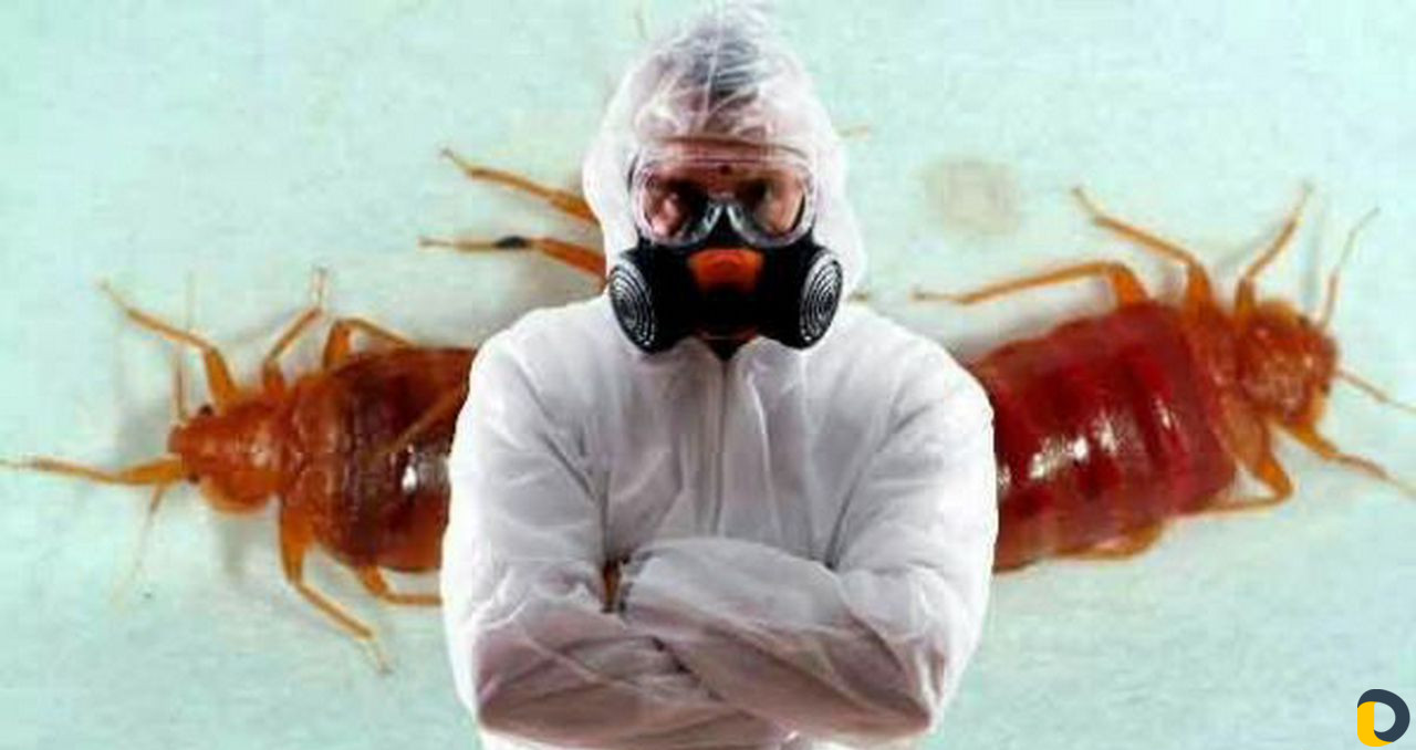 Дезинфекция, дератизация, травля тараканов