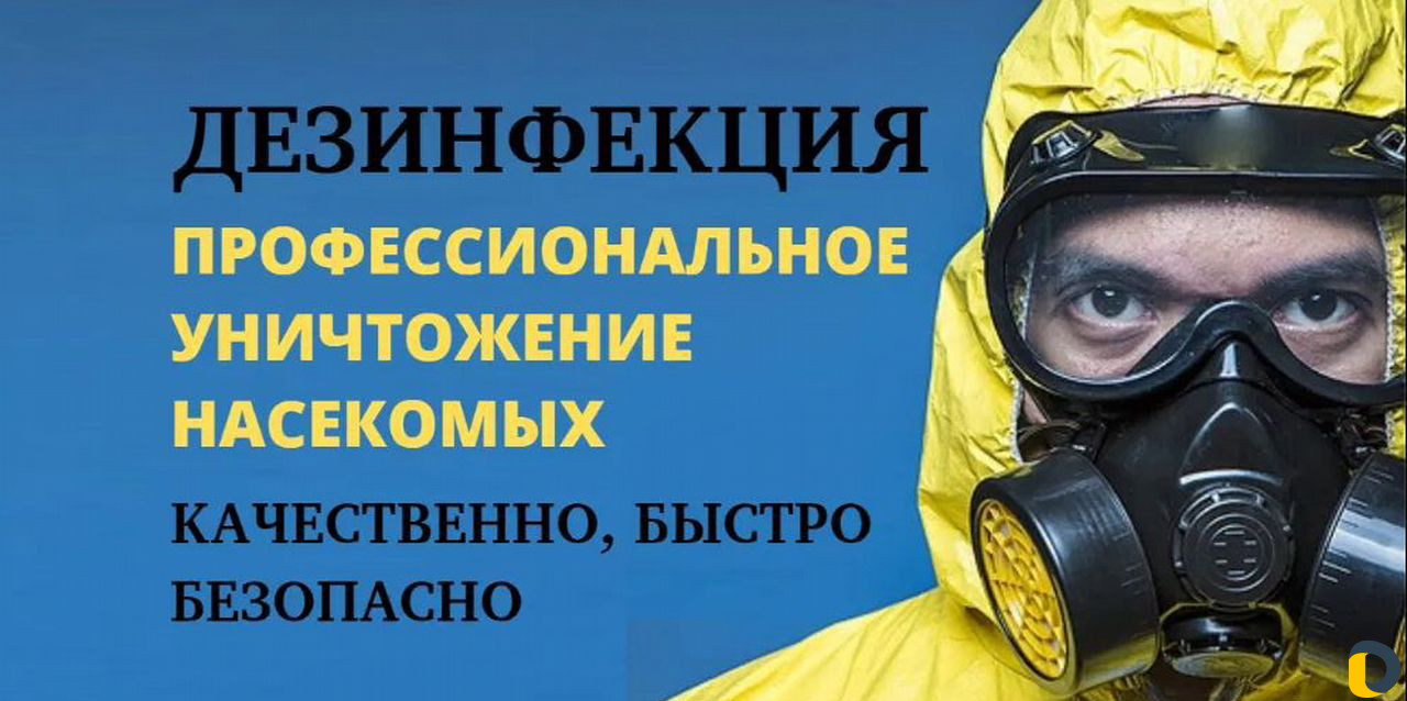 Дезинфекция, дератизация, травля тараканов