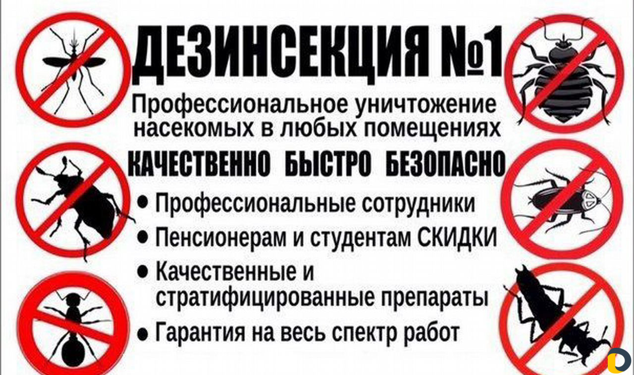 Дезинфекция, дератизация, травля тараканов