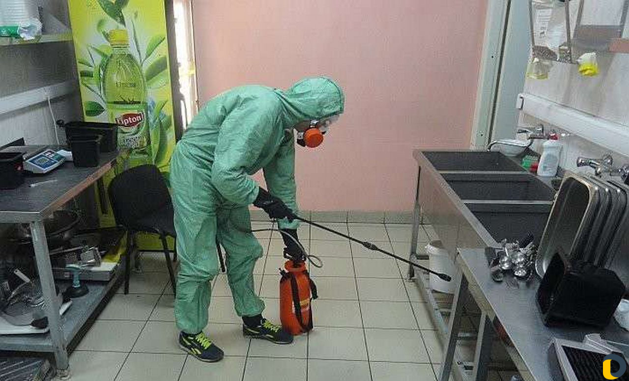 Дезинфекция, Дезинсекция, Дератизация