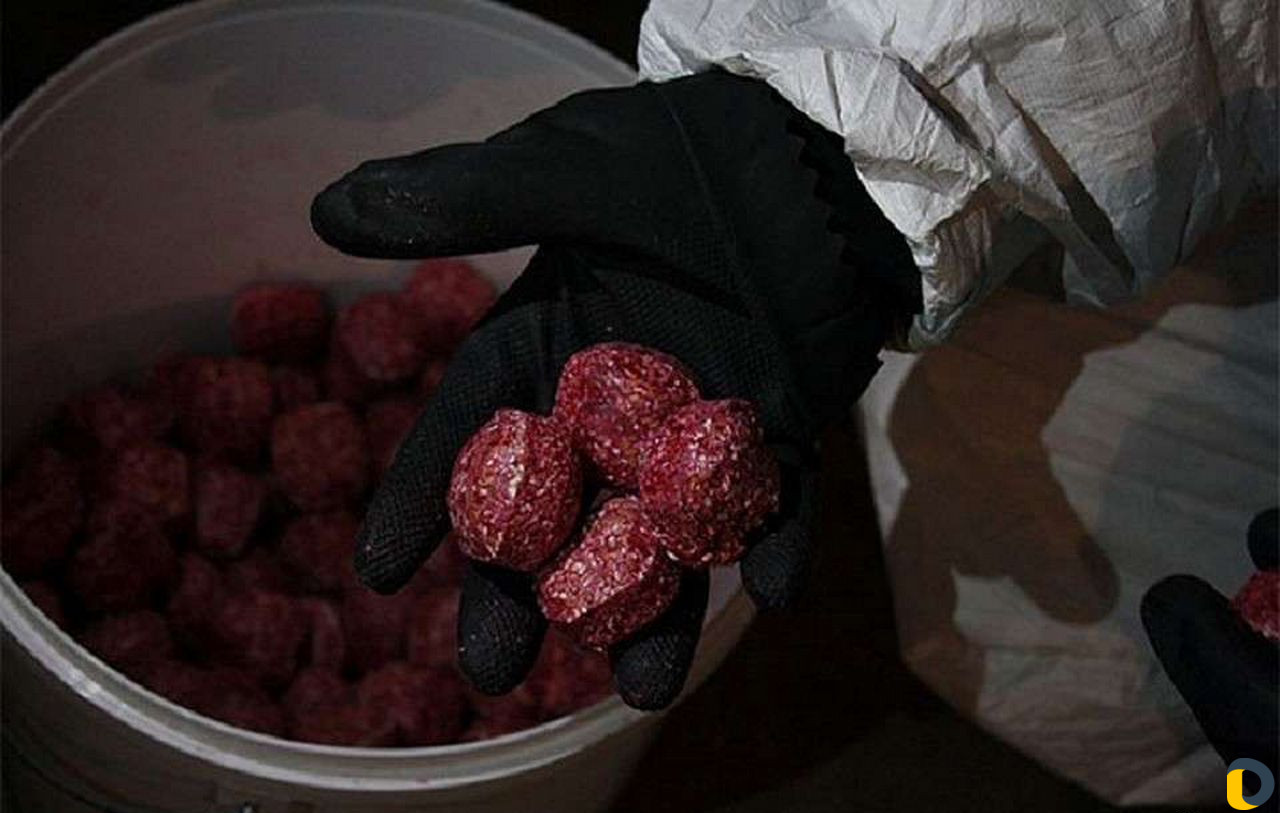 Дезинфекция, Дезинсекция, Дератизация