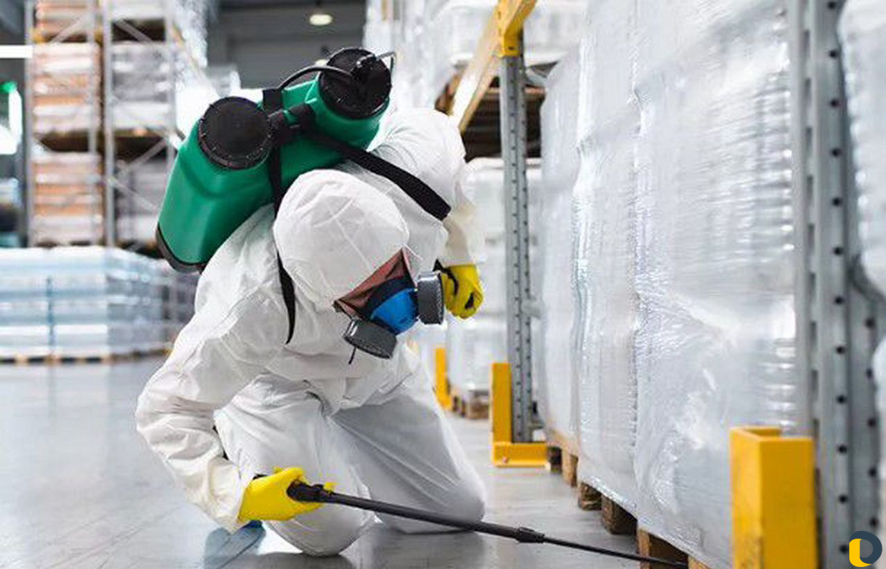 Дезинфекция, уничтожение насекомых, мышей, крыс
