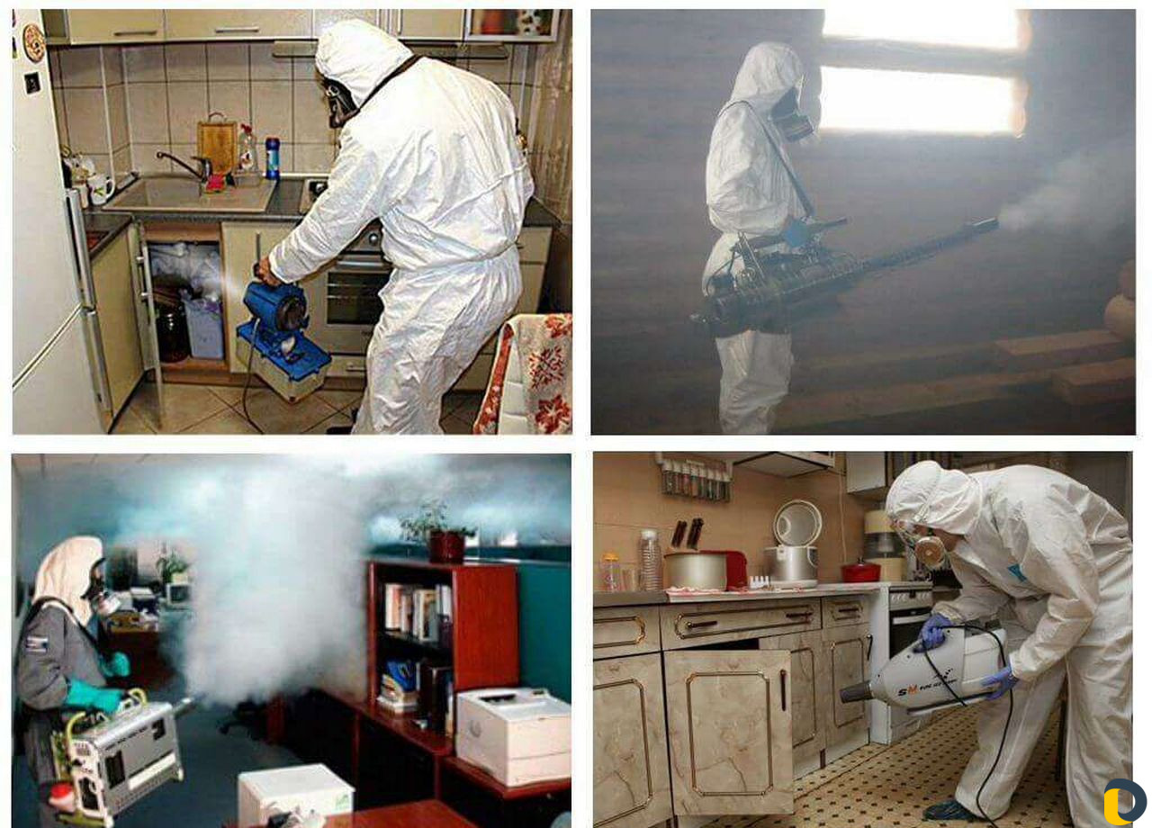 Дезинфекция, уничтожение всех видов насекомых
