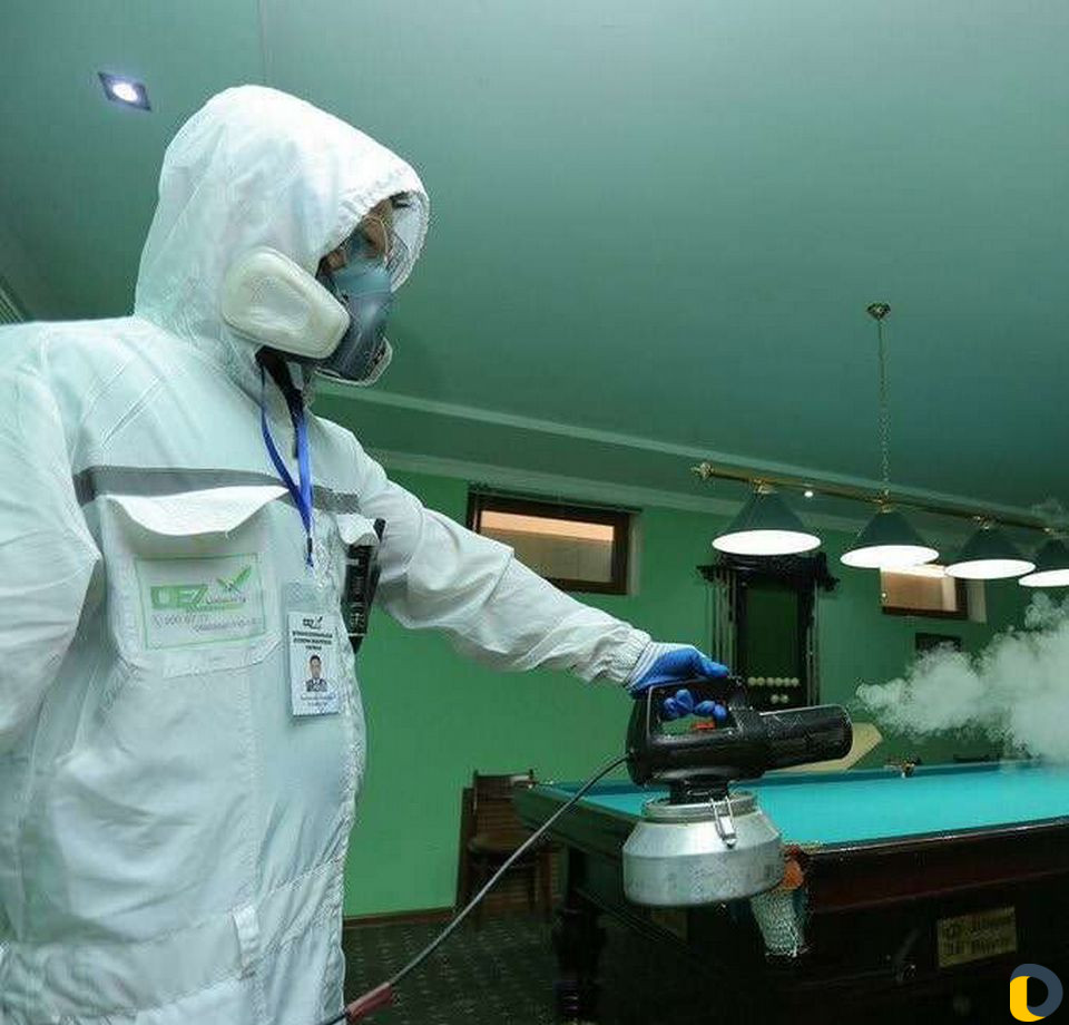 Дезинфекция, уничтожение всех видов насекомых