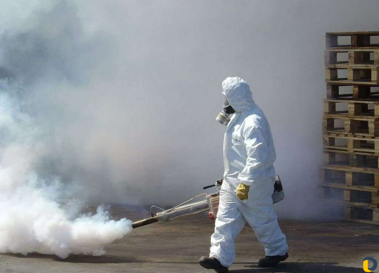 Дезинфекция, уничтожение всех видов насекомых