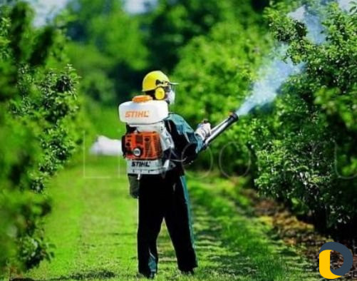 Дезинфекция