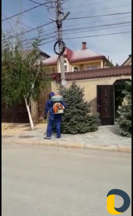 Дезинфекция