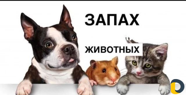 Дезинфекция вирусов озоном