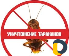 Дезинсекция, Дератизация, Дезинфекция в Махачкале