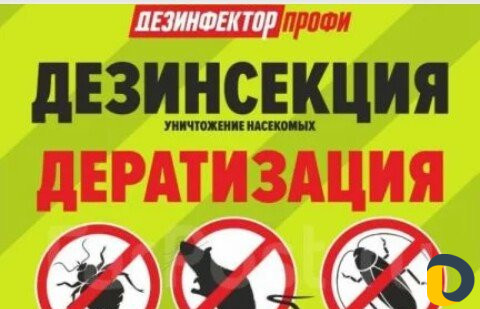 Дезинсекция насекомых