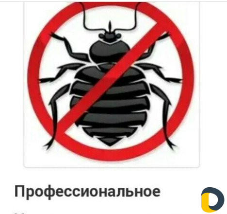 Дезинсекция насекомых