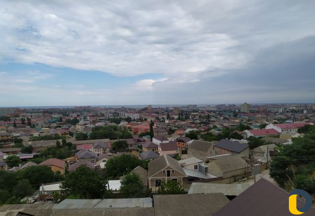 Дезинсекция