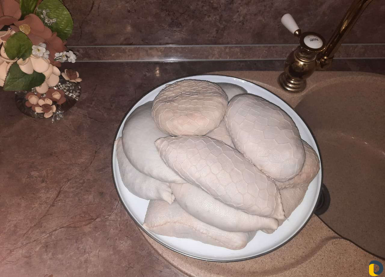 Домашный ба1арш