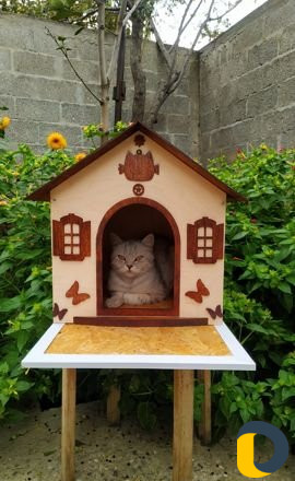 Домики и лежанки для кошек