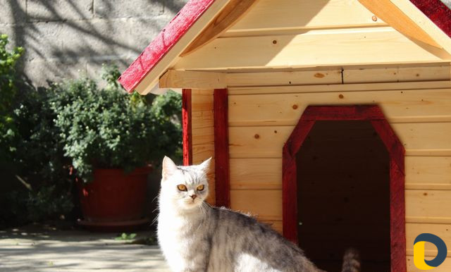 Домики и лежанки для кошек