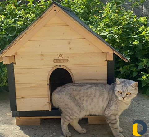Домики и лежанки для кошек