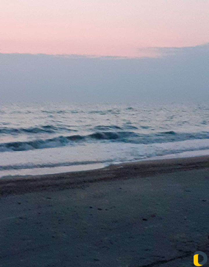 Домики на Азовском море