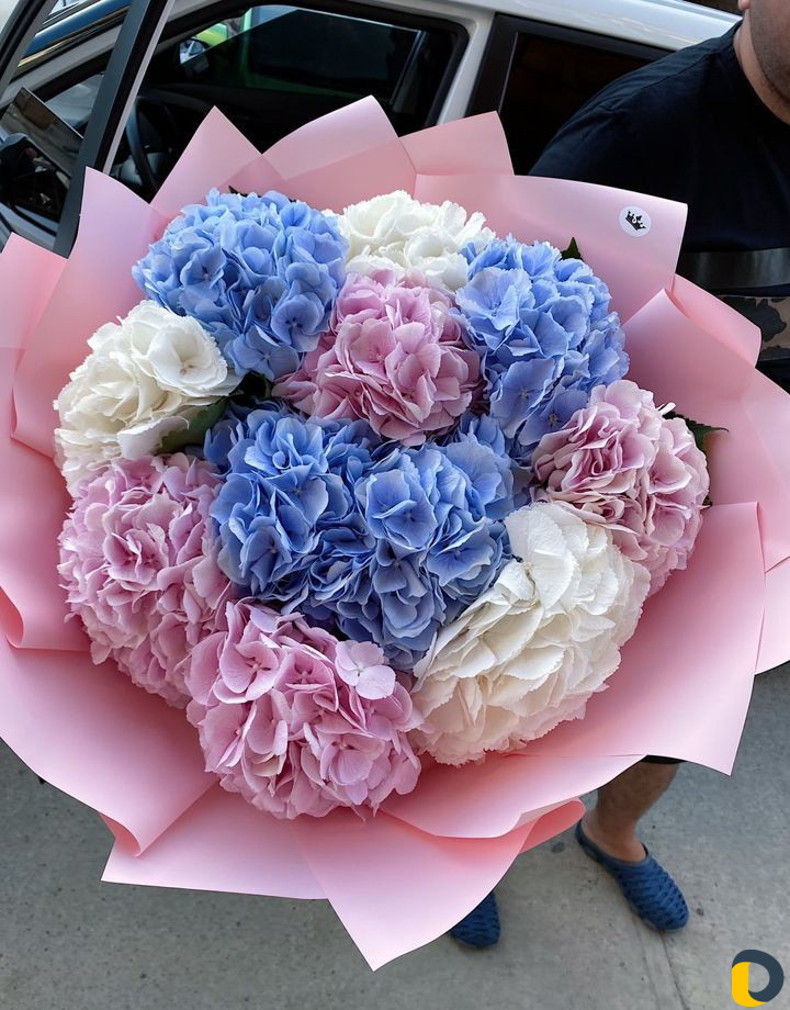 Доставка цветов букеты Сочи, Адлер, Красная полян