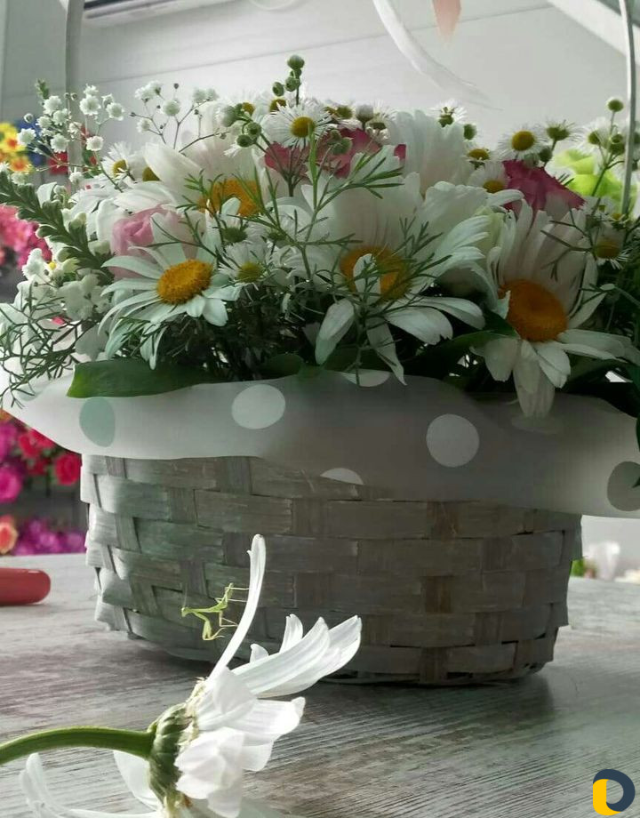 Доставка цветов