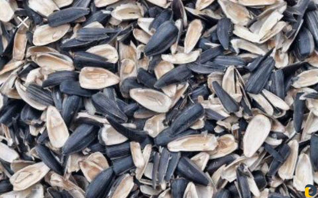 Доставка лузги шелухи подсолнечника