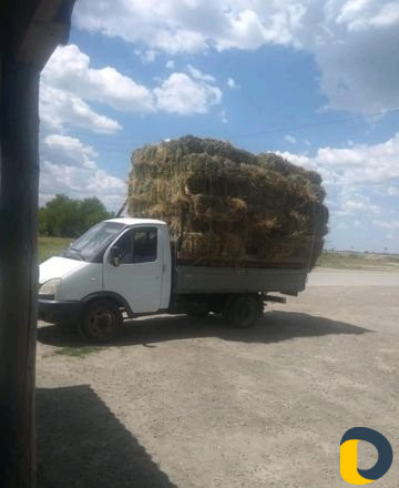 Доставка сена и люцерны