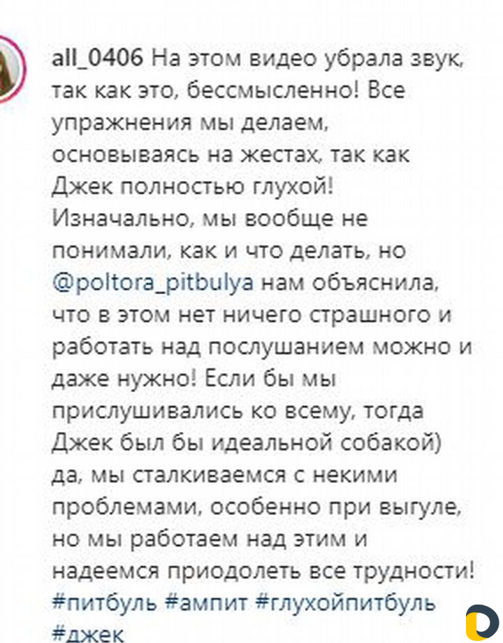 Дрессировка, коррекция, кинолог, зоопсихолог