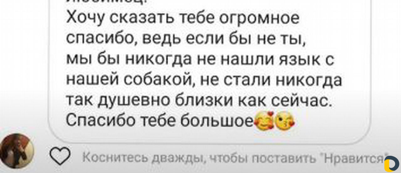 Дрессировка, коррекция, кинолог, зоопсихолог