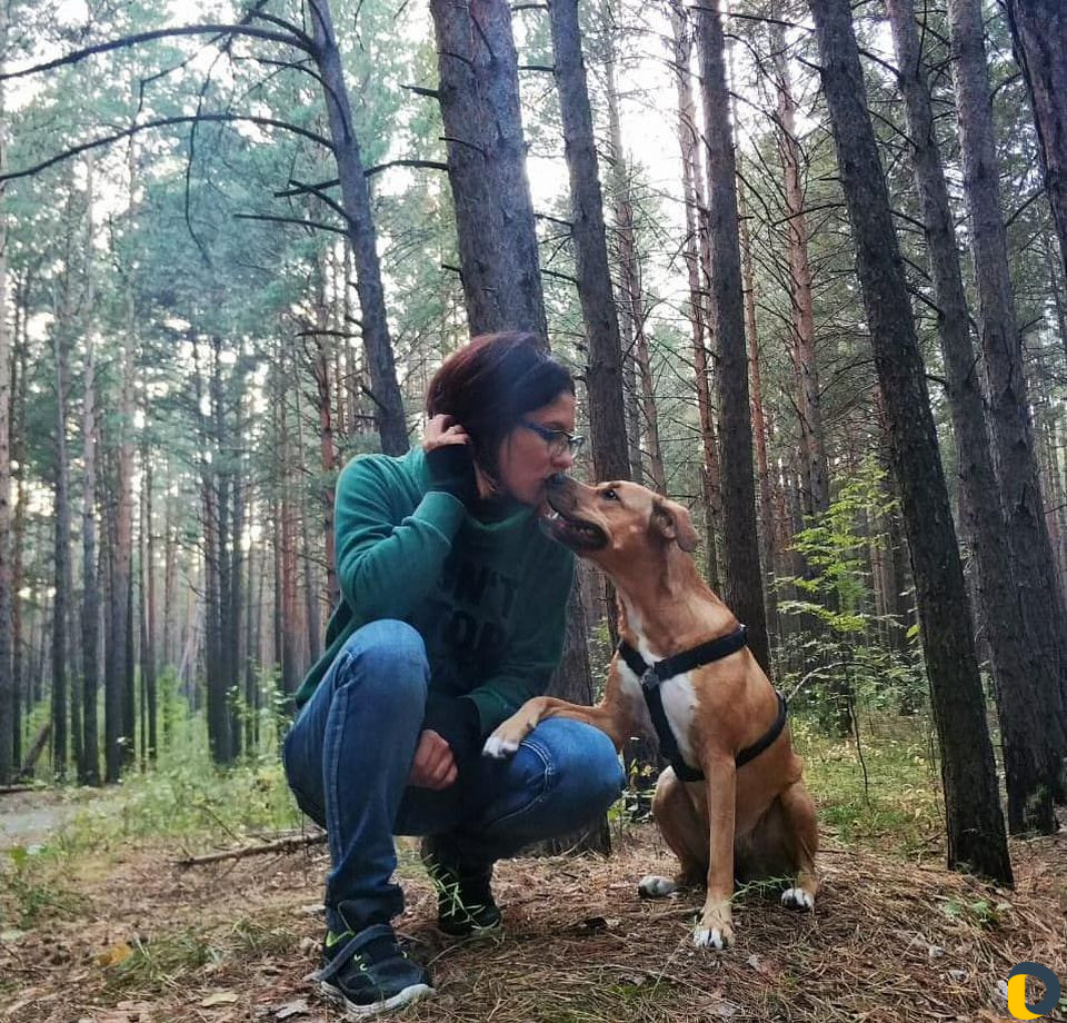 Дрессировка, коррекция, кинолог, зоопсихолог