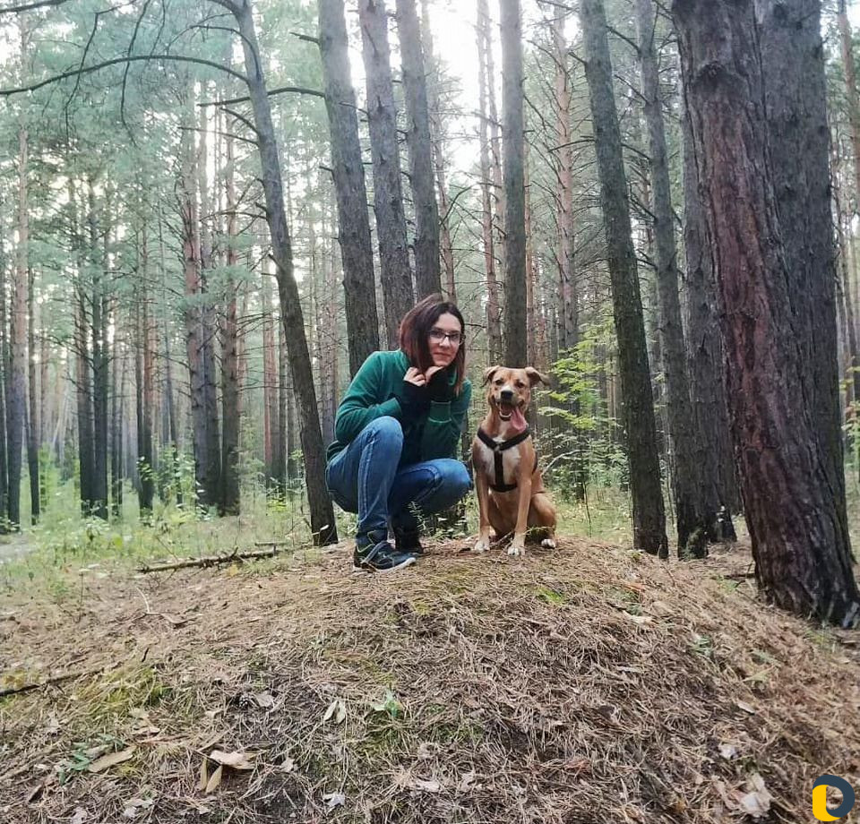 Дрессировка, коррекция, кинолог, зоопсихолог