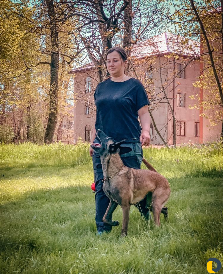 Дрессировка собак с выездом к Вам