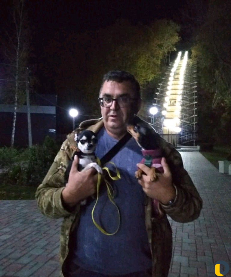 Дрессировка собак