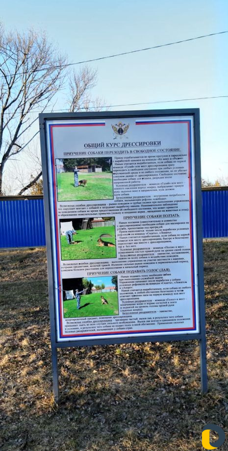 Дрессировка