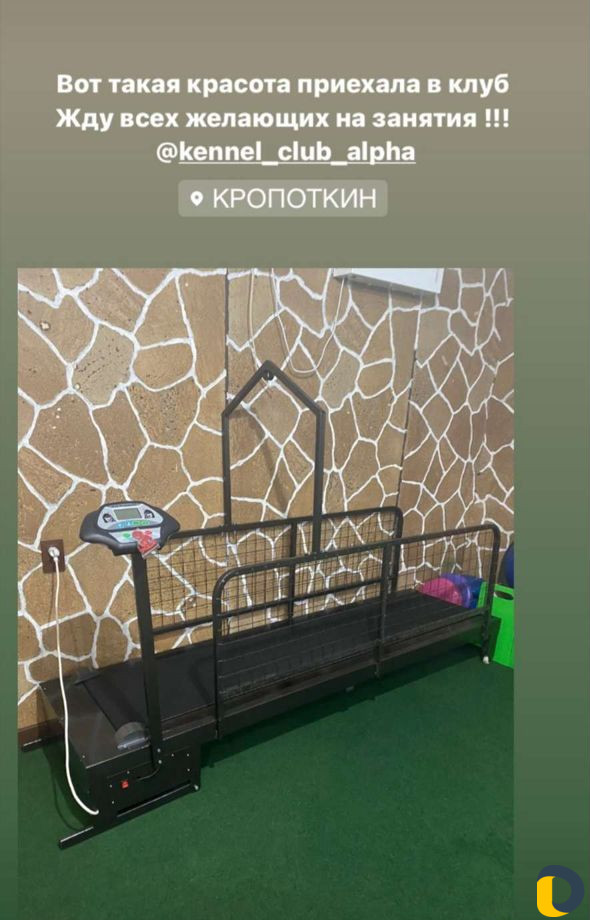 Дрессировки, хендленг зал, догфитнес, беговая доро