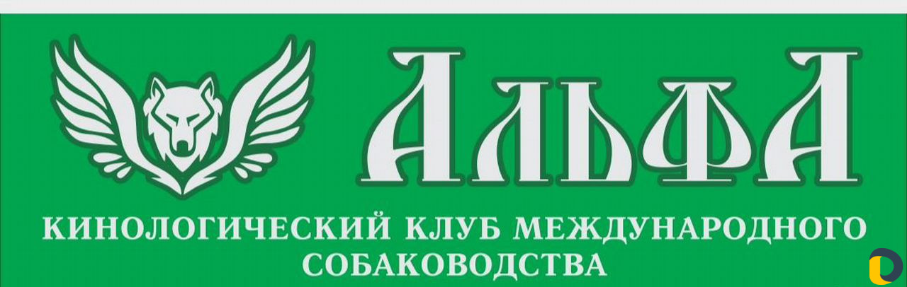 Дрессировки, хендленг зал, догфитнес, беговая доро