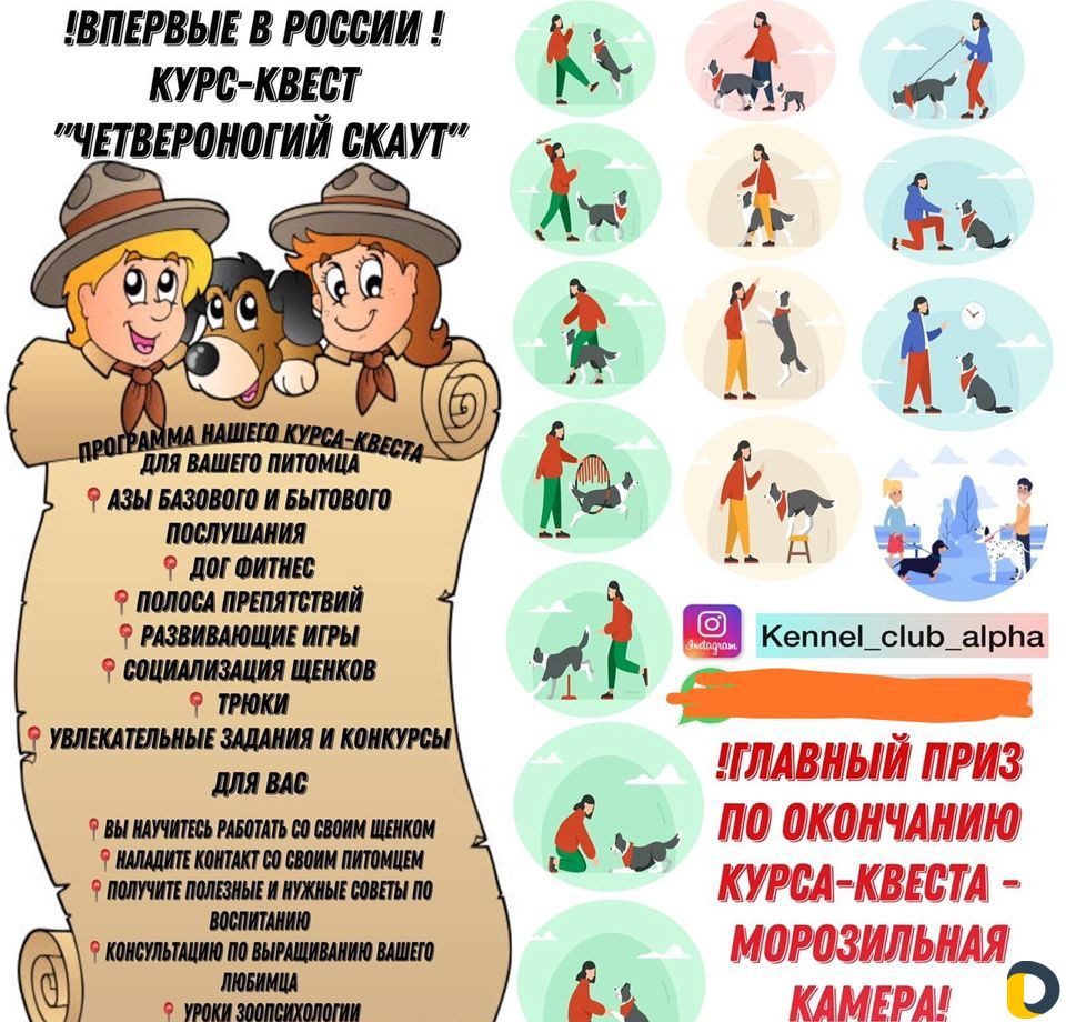 Дрессировки, хендленг зал, догфитнес, беговая доро