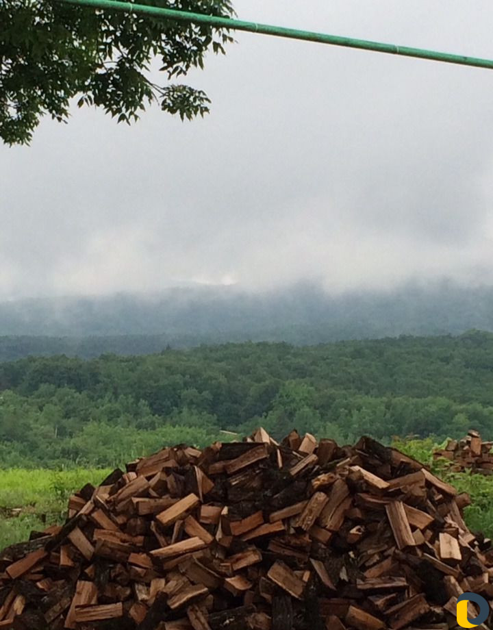 Дрова Дубовые