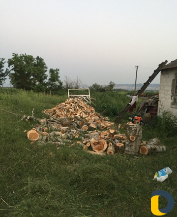 Дрова колотые
