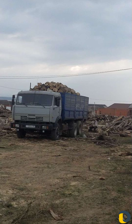 Дрова