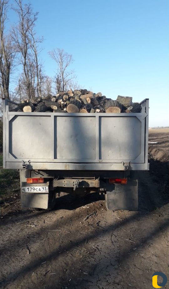 Дрова